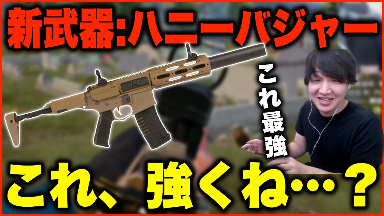 使いやすい！】最新アプデで追加された新武器“ハニーバジャー”が強 