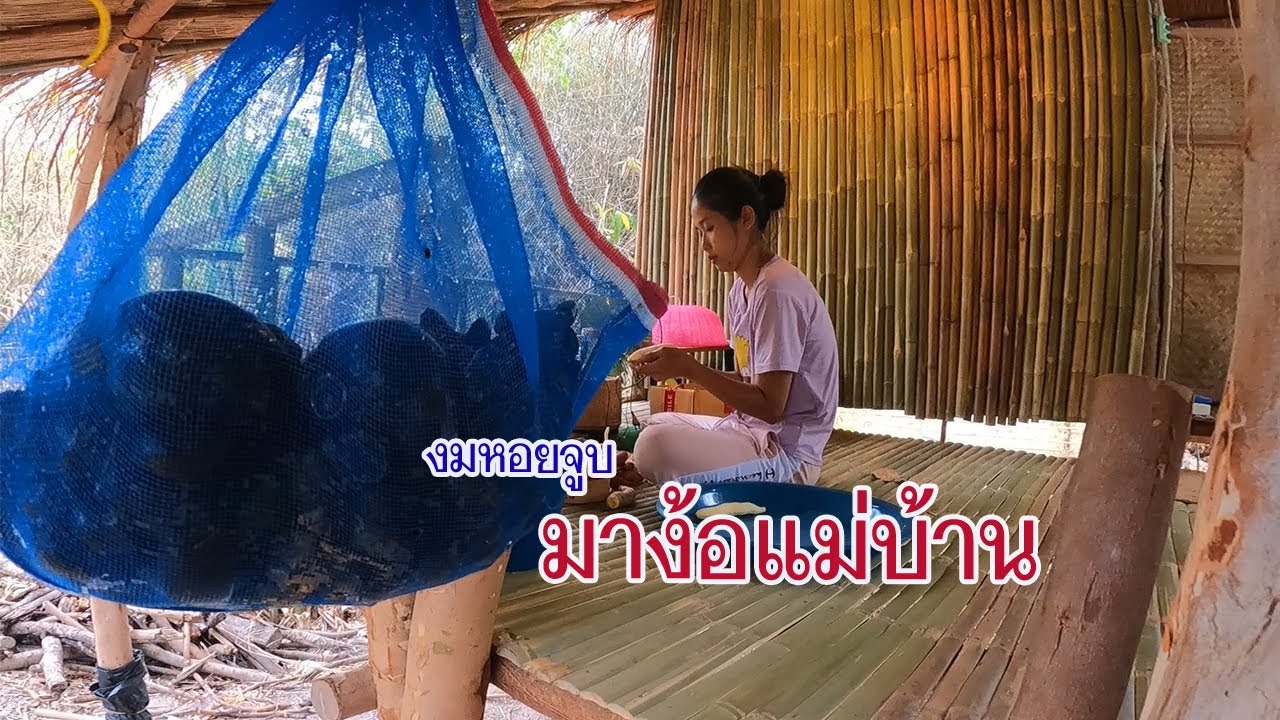 เก็บหอยจูบหอยขมไปง้อแม่บ้าน เมนูหอยก็แซ่บคือกันเด้อ