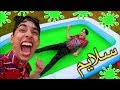 بيتي ولا سفري؟؟ | سوينا مسبح سلايم