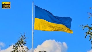 Великий Прапор України Fullhd Харків 2021