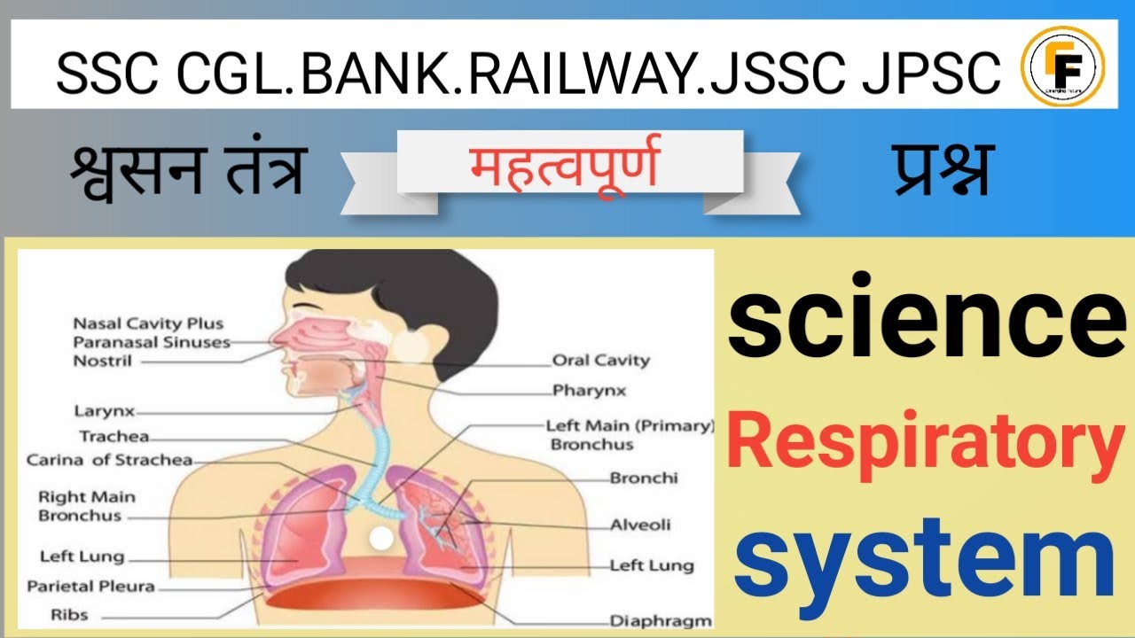 Science respiratory system श्वसन तन्त्र - YouTube