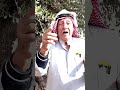 مع العم أبو صالح رح نعرف شو قصة شجرة المهراس 🌳🌳