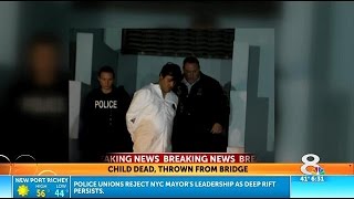 Dad in custody, girl, 5, dead after being thrown from bridge in St. Pete