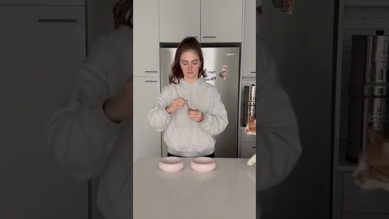 Feeding My Spoiled Cats Breakfast 