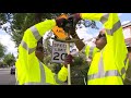 Dangerous trees given new purpose