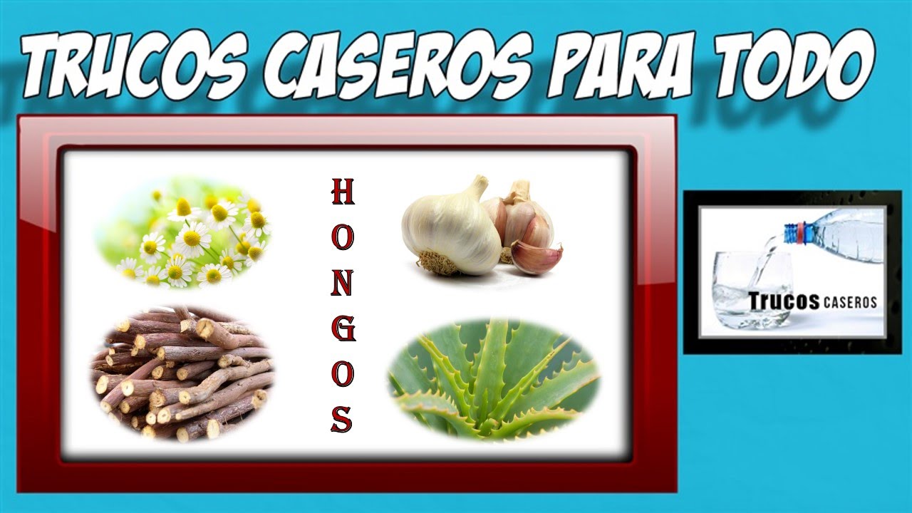 Las mejores hierbas para los hongos en la piel - Remedios caseros remedios naturales para la artritis