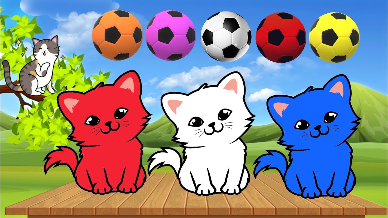 القطط الملونة والكرات الملونة لتعليم الاطفال الألوان باللغة العربية - فيديو تعليم الالوان للاطفال
