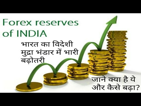 Foreign Exchange Reserves In India à¤­ à¤°à¤¤ à¤¯ à¤µ à¤¦ à¤¶ à¤® à¤¦ à¤° à¤­ à¤¡ à¤° 401 à¤…à¤°à¤¬ à¤¡ à¤²à¤° What Is Fer In Hindi - 