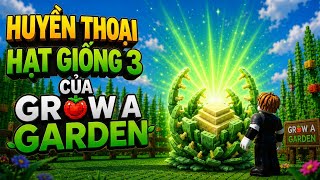 NOOB Bug Một Quả King Cabbage Khổng Lồ Trong Grow A Garden | NOOB