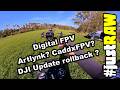 Digital FPV Artlynk, CaddxFPV und DJI mit tücken mit dem letzten Firmwareupdate #justRAW #VLOG