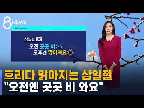 [날씨] 흐리다 맑아지는 삼일절…약한 비 오는 곳도 / SBS