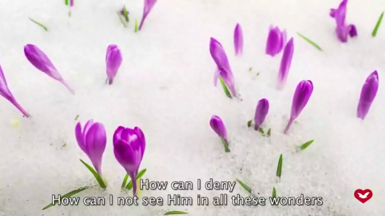 Uckg Song (let there be light)