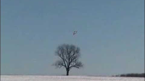 RC Heli Video TRex 450 XL CDE Winter