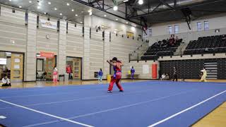 [2019 15th UWG] Aaron Yang Group B Adv NQ Comp M