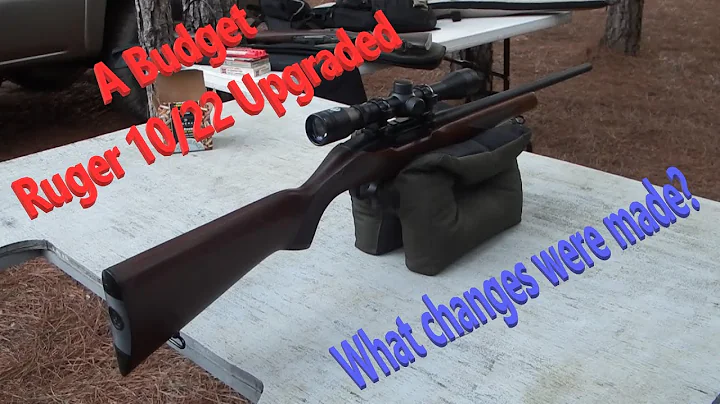 A Budget 10/22 Modified