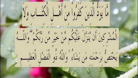 القران الكريم سورة البقرة الاية 105