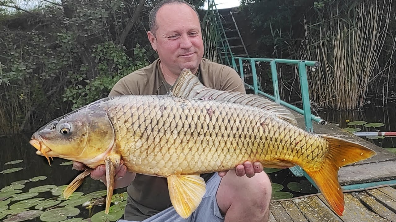 Bordás Kosárral az Atkai-Holtágon 2. rész - Film