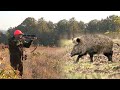 Hunting Serbia - Wild boar hunting | Lov na divlje svinje - Negotin | Caccia ai cinghiali