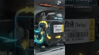 What are Relay and OLP in a Refrigerator?