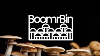 Meet the Automated Boomr Bin Monotub System by North Spore