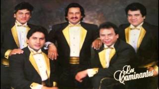 Los Caminantes - Amame Tiernamente chords