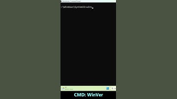 Check your REAL Windows Version with ”CMD:winver”