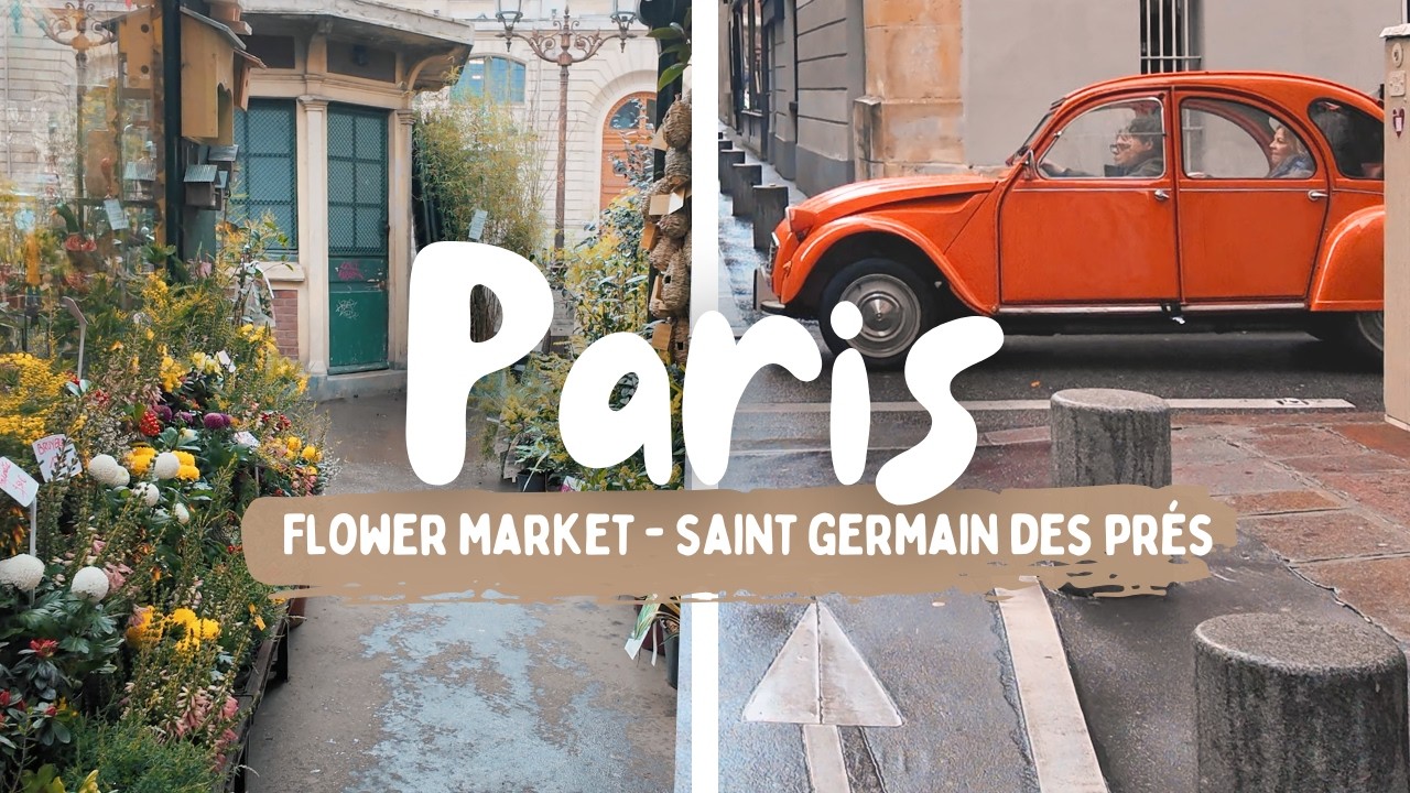 12 february 2026 I Walk with a local I Île de la Cité to Saint Germain des Prés 🤎 POV 4K