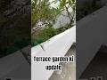 Terrace garden ki progress ruk chuki hai #rooftopgarden #terracegarden #kitchengarden