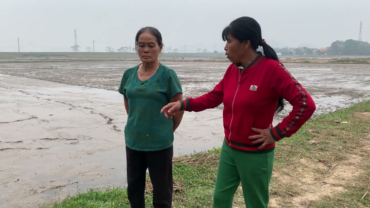 Mụ Phượng bị thắng cho chận đuổi về gặp mụ quyển tính am mưu tiếp thi bi người lạ nghe được hớt luôn