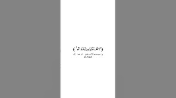 كروما شاشة بيضاء قرآن كريم 🌿تلاوة من سورة الزمر🌿القارئ جابر القيطان 🌿