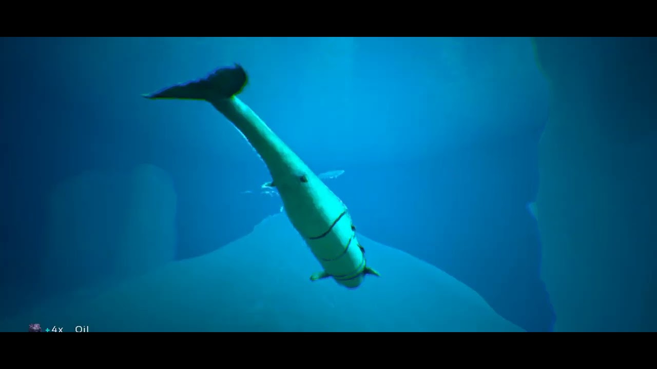 Ark Mobile Ultimate The Island Easy Taming (Basilosaurus)!!!ဝေလငါးအလွယ်ဆုံးဖမ်းနည်း!!!👍🔔Please 🙏🙏🙏