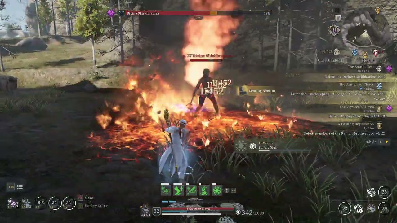 Bless Unleashed lion mage level 32