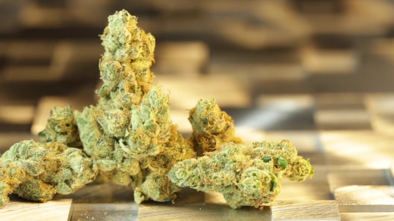 GMO Cookies From UpNorth