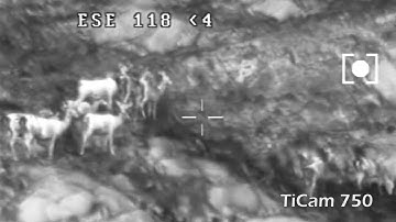 The Difference Between A Good Thermal Imager & A Great Thermal Imager