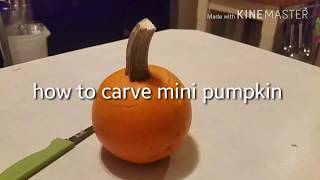 How to carve mini pumpkin **EXTREME**