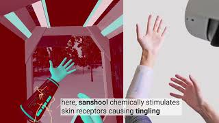 Chemical Haptics: Rendering Haptic Sensations via Topical Stimulants