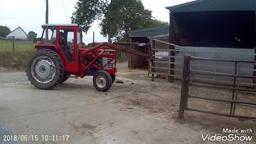 Yard work with a MF 188