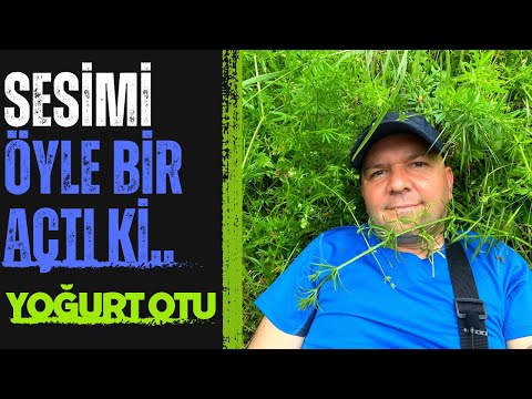 Sesimi Öyle Bir Açtı Ki…