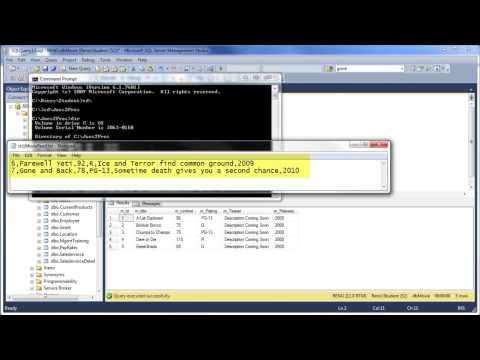 SQL 2012 Bulk Copy Program (BCP)