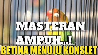 WAJIB PUNYA MASTERAN INI,,,BETINA SEMI KONSLET AUTO GACOR DOOORRR