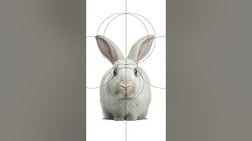 Concept Logo Design Using golden ratio