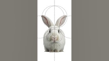 Concept Logo Design Using golden ratio