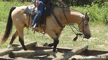 Docs Dualn Pep - mounting block, gate, logs, teeter totter, bridge, drag log! - ValleyViewRanch.net