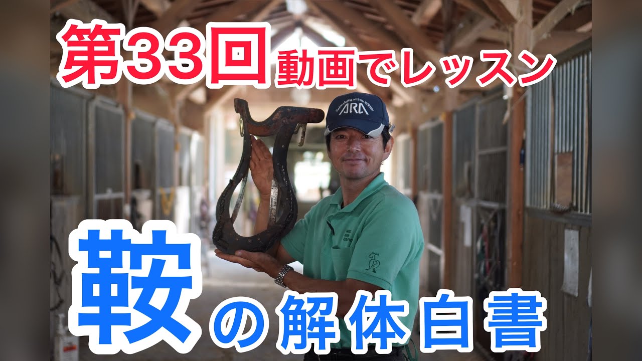 Video Riding Lesson #33] What's Inside a Saddle? Saddle Dissection