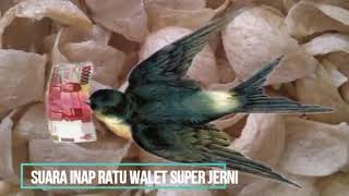 10 JAM !! SUARA INAP RATU WALET JERNI