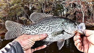 Simple Rig that Catches Loads of Crappie!  Catch And Cook