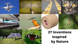 27 Inventions Inspired by Nature