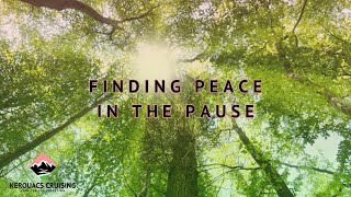 Finding Peace in the Pause