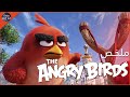 عودة الطيور الغاضبه ملخص فيلم   1