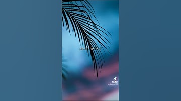 تلاوة محبرة للشيخ محمد طنطاوي #quran